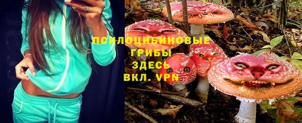 соль курить ск Алексин