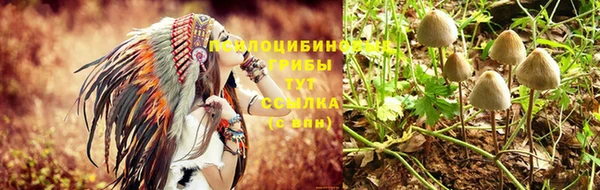 соль курить ск Алексин