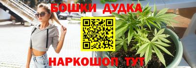 стаф Кингисепп
