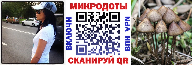 Галлюциногенные грибы Magic Shrooms  Клин 